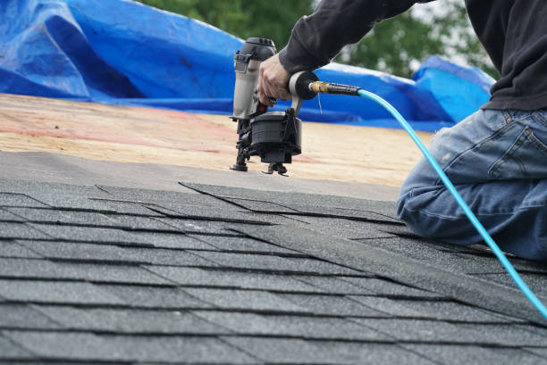 Best Roof Replacement Cost  in Virginia, MN